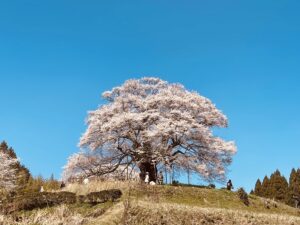 Blog1001
