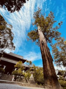 Blog1018