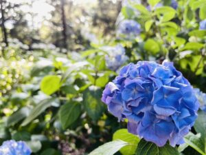 Blog1059