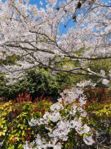 Blog1064