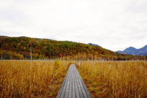 Blog1101