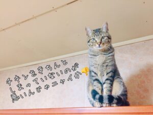 Blog1109