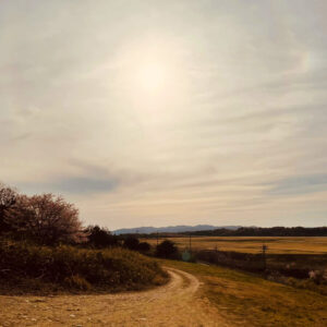 Blog1110