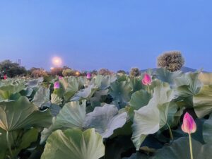 Blog1122