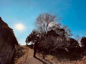 Blog1180