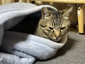 Blog1177