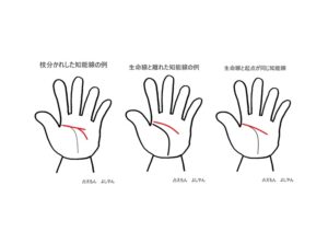 知能線２