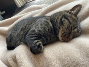 Blog1199