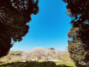 Blog1200