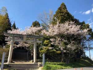 Blog1202