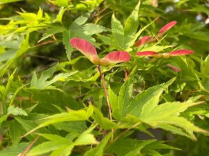 Blog1215